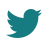 Twitter Icon in white